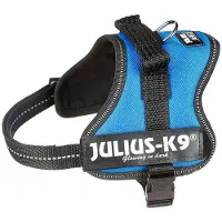 JULIUS K-9 150102, Hund, XS