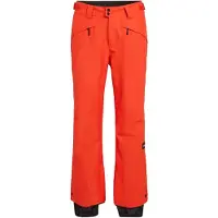 O'Neill Herren Hose HAMMER REGULAR SNOW PANTS