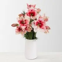 Pflanzen-Kölle Schnittblumen-Mix aus 5 lachsfarbenen Amaryllis & 5 Seidenkiefer
