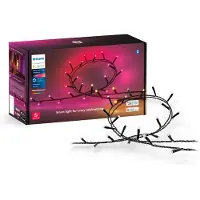 Philips Hue Festavia Lichterkette - 20 Meter - 250 LEDs