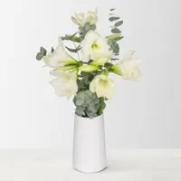 Pflanzen-Kölle Schnittblumen-Mix aus 3 weißen Amaryllis & 3 Eukalyptus