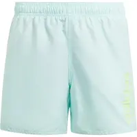 Adidas Kinder Badeshorts Sportswear Essentials Logo CLX Kids