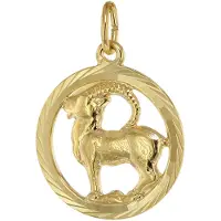 Trendor 39000-01 Sternzeichen Steinbock 333 Gold Anhänger Ø 16 mm