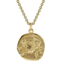 Trendor 39070-07 Krebs Sternzeichen Ø 20 mm Herren-Halskette Gold auf Silber