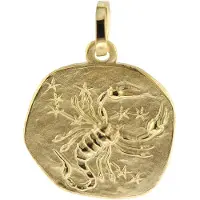 Trendor 08725-11 Sternzeichen-Anhänger Skorpion 333 Gold 16 mm