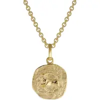 Trendor 75905-01 Sternzeichen für Kinder Steinbock Gold 333 Anhänger + Kette