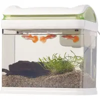 Hobby Hall Transport-Fischbecken mit Filter, LED-Beleuchtung und USB, 3,3 Liter
