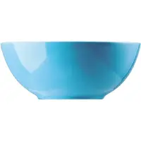 Thomas Sunny Day Waterblue Müslischale 15 cm / 0,58 L Sunny Day Waterblue 10850-408530-15455
