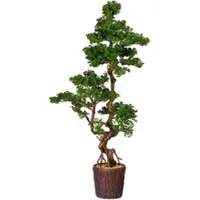 Pflanzen-Kölle Kunstpflanze Bonsai-Lärche, Höhe ca. 155 cm