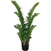 Pflanzen-Kölle Kunstpflanze Zamifolia, Höhe ca. 110 cm