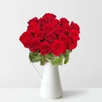Pflanzen-Kölle 25 rote Rosen 'Red Naomi'