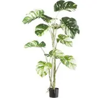Pflanzen-Kölle Kunstpflanze Monstera deliciosa variegata, Höhe ca. 160 cm