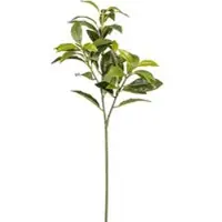 Pflanzen-Kölle Künstlicher Lorbeerzweig, 4er-Set, Höhe ca. 65 cm