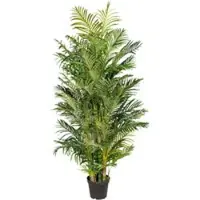 Pflanzen-Kölle Kunstpflanze Areca-Palme, Höhe ca. 220 cm