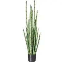 Pflanzen-Kölle Kunstpflanze Sansevieria cylindrica, Höhe ca. 140 cm