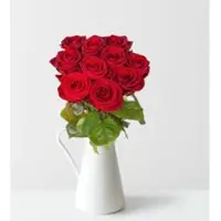 Pflanzen-Kölle 10 rote Rosen 'Red Naomi'