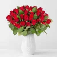 Pflanzen-Kölle 40 rote Rosen