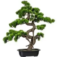 Pflanzen-Kölle Kunstpflanze Bonsai Kiefer, Höhe ca. 65 cm