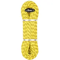 BEAL Antidote 10.2 Mm Seil