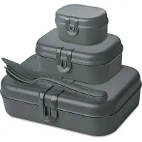 Koziol Brotdose Bio-Circulair Pascal Ready Nature Ash Grey (6-Stück)