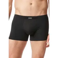 Bruno Banani Retro Pants mit elastischem Bund