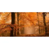 Architects Paper Fototapete "Fantastic Forest" Vlies, Wand, Schräge