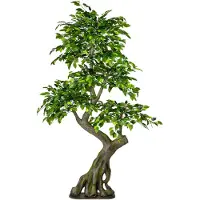 Creativ Green Kunstbaum "Ficus Benjamini"