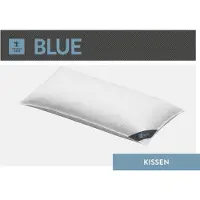Spessarttraum 3-Kammer-Kopfkissen "Blue", Füllung: Außen: 60% Daunen,40% Federn; Innen: 100% Federn, Bezug: 100% Baumwolle, (1 St.), hergestellt in Deutschland, allergikerfreundlich