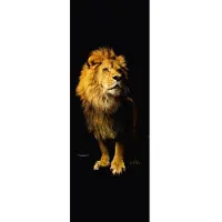 Architects Paper Fototapete "Lion", braun (braun, schwarz), B:1m L:2,8m, Vlies, Tapeten, Fototapete, Tapete Löwe Panel Schwarz 1,00m x 2,80m