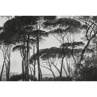 Architects Paper Fototapete "Atelier 47 Treetops 2" Wald glatt Vlies, Wand, Schräge, Decke
