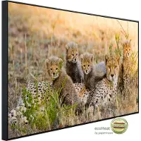Papermoon Infrarotheizung "Gepard und Jungen" sehr angenehme Strahlungswärme