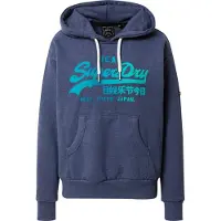 Superdry Tonal Vintage Logo Graphic Kapuzenpullover