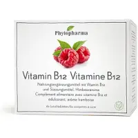 Phytopharma Vitamin B12 Lutschtabl Ds 60 Stk St Lutschtabletten