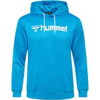 Hummel Hoodie Logo