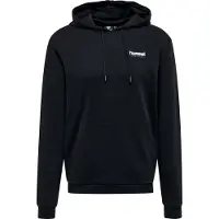 Hummel Kapuzenpullover LGC Austin