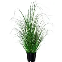 Gasper Kunstgras