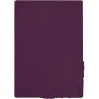 Castell - Markenbettwäsche Spannbettlaken "Jersey in Gr. 90x200, 140x200 oder 180x200 cm", aus Baumwolle, für Matratzen bis 22 cm Höhe, Bettlaken, Spannbetttuch