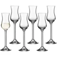 Leonardo Schnapsglas "Grappagläser Daily 30 ml 6er Set transparent"