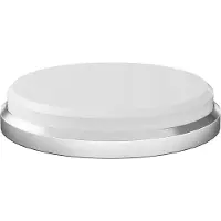 HORL 3 Whetstone Extra Fine S5-HO3-P, Keramik-Schleifscheibe, Körnung 6000