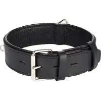 Flamingo Rondo Riveted Hundehalsband