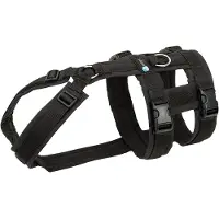AnnyX anny-x Sicherheitsgeschirr Safety schwarz L