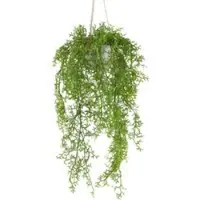 Pflanzen-Kölle Kunstpflanze Moosfarn, Höhe ca. 90 cm