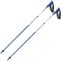 Salomon S/race Poles Carbon Silber 115 cm