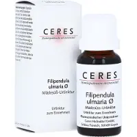 CERES Heilmittel GmbH Ceres Filipendula Ulmaria Urtinktur 20 ml