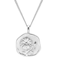 Trendor 68000-09 Halskette mit Monatsblume September 925 Silber Rhodiniert