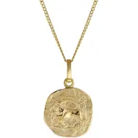 Trendor 15022-01 Kinder-Halskette mit Sternzeichen Steinbock 333/8K Gold
