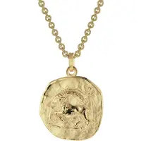 Trendor 39070-01 Steinbock Sternzeichen Ø 20 mm Herrenkette Gold auf Silber