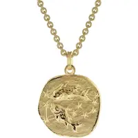 Trendor 39070-03 Fische Sternzeichen Ø 20 mm Herrenkette Gold auf Silber