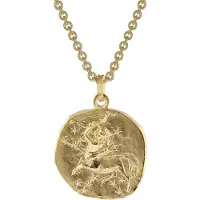 Trendor 39070-12 Schütze Sternzeichen Ø 20 mm Herrenkette Gold auf Silber