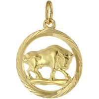 Trendor 39000-05 Sternzeichen Stier 333 Gold Anhänger Ø 16 mm